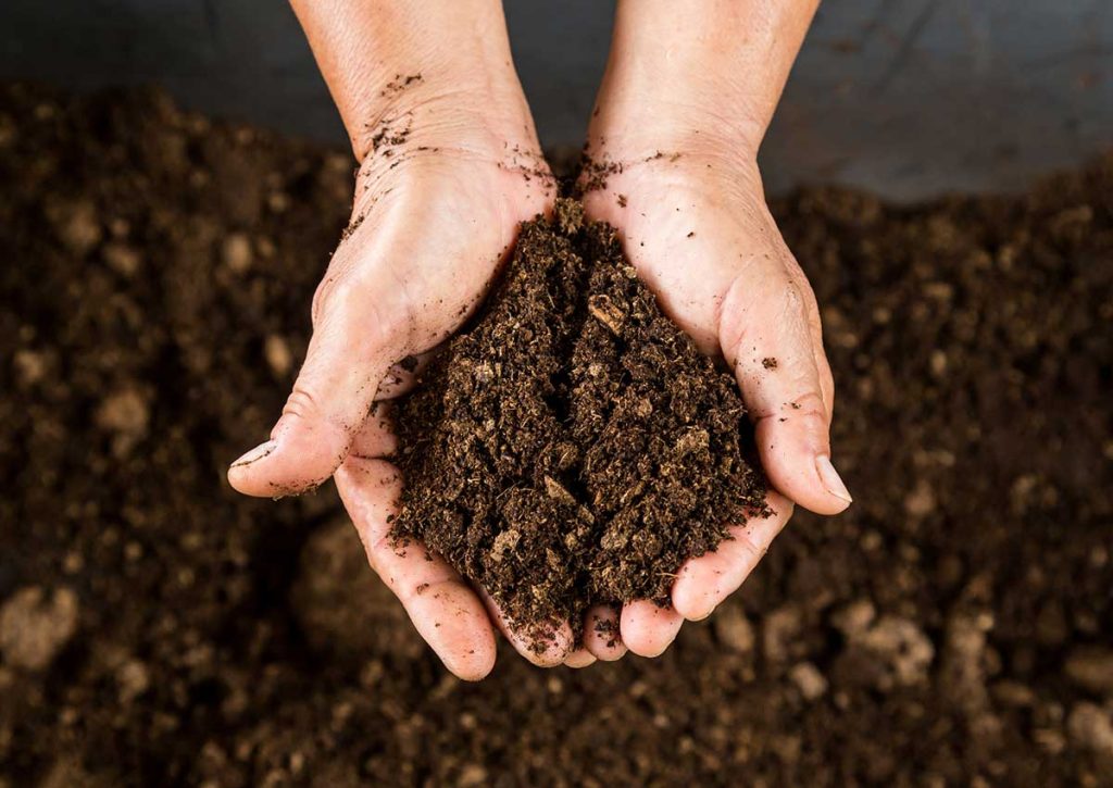 Les astuces incontournables pour maximiser l’efficacité de votre compost